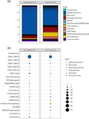 The mystery of the ice cold rose—Microbiome of an Arctic winter frost flower