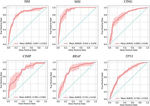 Predicting microsatellite instability and key biomarkers in colorectal cancer from H&E-stained images: achieving state-of-the-art predictive performance with fewer data using Swin Transformer