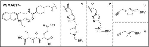 Imidazolium-methylene-trifluoroborate: A novel radioprosthetic group validated with preclinical 18F-Positron Emission Tomography imaging of Prostate Specific Membrane Antigen in mice