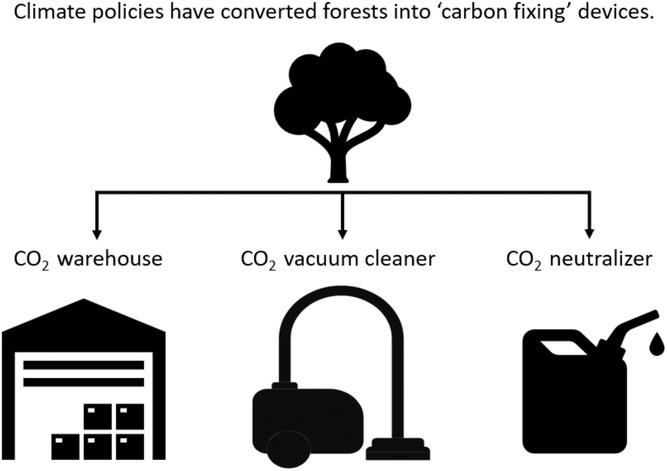 Towards a synthesized critique of forest-based ‘carbon-fix’ strategies