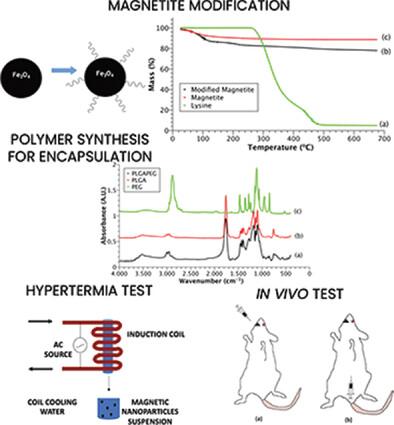 Evaluation of Hyperthermic Potential and Acute Toxicity of PLGA-PEG/Magnetite Microspheres Loaded with Oxaliplatin Using Mice as a Test System