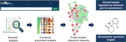 Differentially regulated targets in the fast-acting antidepressant effect of (R)-ketamine: A systems biology approach