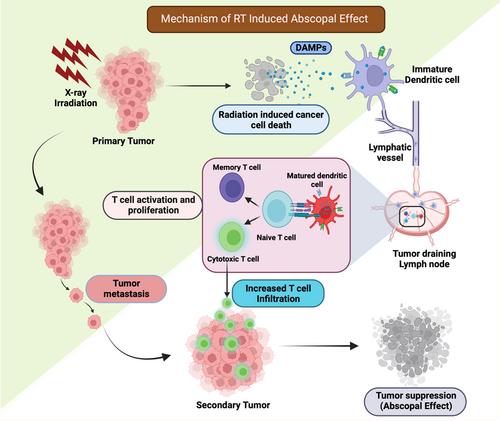 Radiotherapy, photodynamic therapy, and cryoablation-induced abscopal effect: Challenges and future prospects