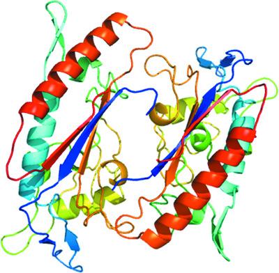 Purification and structure of luminal domain C of human Niemann–Pick C1 protein