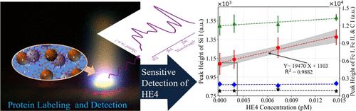 Sensitive Detection of the Human Epididymis Protein-4 (HE4) Ovarian Cancer Biomarker through a Sandwich-Type Immunoassay Method with Laser-Induced Breakdown Spectroscopy