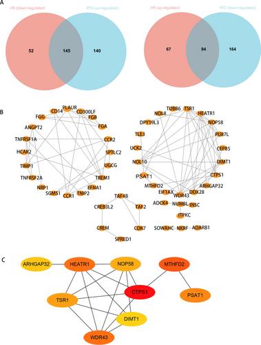 The protective effects of phosphoserine aminotransferase 1 (PSAT1) against hepatic ischemia–reperfusion injury