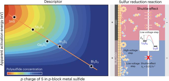 Optimizing the p charge of S in p-block metal sulfides for sulfur reduction electrocatalysis