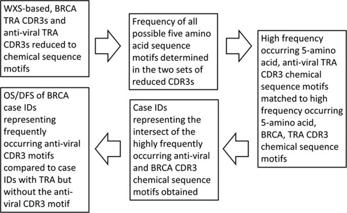 Tumor resident, TRA anti-viral CDR3 chemical sequence motifs are associated with a better breast cancer outcome