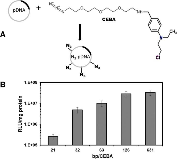 Reversible stabilization of DNA/PEI complexes by reducible click-linkage between DNA and polymer. A new polyplex concept for lowering polymer quantity