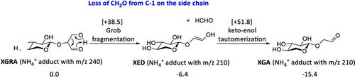 Characterization of the degradation products of lignocellulosic biomass by using tandem mass spectrometry experiments, model compounds, and quantum chemical calculations