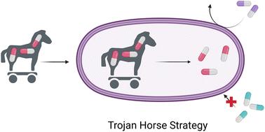 Siderophore conjugates to combat antibiotic-resistant bacteria