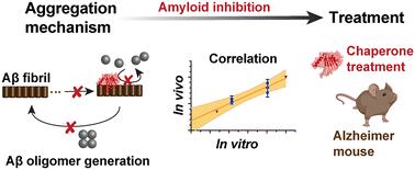 Amyloid inhibition by molecular chaperones in vitro can be translated to Alzheimer's pathology in vivo