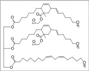 Comparison of bio-based epoxide-diamine coatings prepared with acyclic and cyclic aliphatic diamines