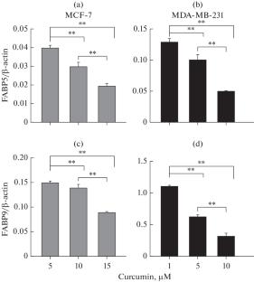 Effects of Juglone and Curcumin Administration on Expression of FABP5 and FABP9 in MCF-7 and MDA-MB-231 Breast Cancer Cell Lines