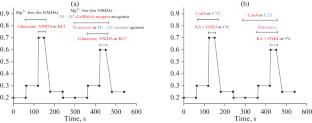 Dopamine Protects Neurons against Glutamate-Induced Excitotoxicity