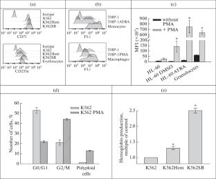 Myeloid Differentiation Increases Resistance of Leukemic Cells to TRAIL-Induced Death by Reducing the Expression of DR4 and DR5 Receptors