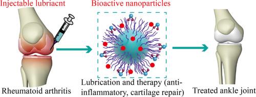 Biomimetic chitosan nanoparticles with simultaneous water lubricant and anti-inflammatory