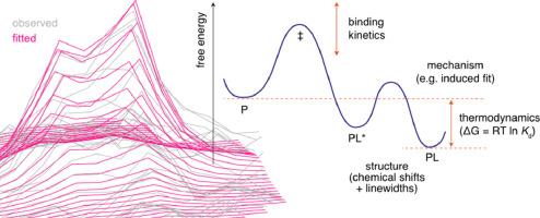 An introduction to one- and two-dimensional lineshape analysis of chemically exchanging systems