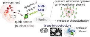 Quantum sensing tools to characterize physical, chemical and biological processes with magnetic resonance