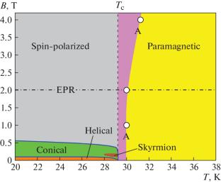 Spin-Fluctuation Transitions in MnSi According to Electron Paramagnetic Resonance and Neutron Scattering