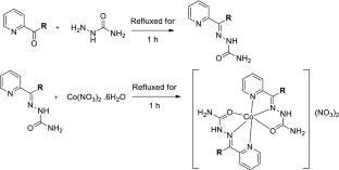 Structural investigation, theoretical DFT, Hirshfeld surface analysis and catalytic behaviour towards 3,5-DTBC oxidation of two cobalt(ii) complexes with semicarbazone Schiff base ligands