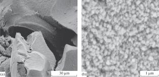 Synthesis of Iron Oxide Nanoparticles by Thermal Decomposition of Cryochemically Modified Precursors