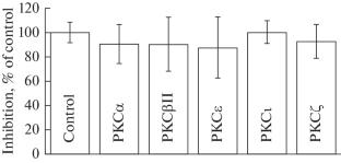 New Biological Evaluation of Thienoquinolines as Disruptors of the PKCε/RACK2 Protein–Protein Interaction