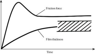 Sustainable Development and Polymer Tribology