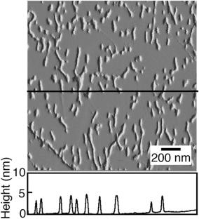 Supramolecular assembling systems of hemoproteins using chemical modifications