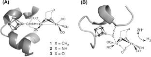 A personal account on 25 years of scientific literature on [FeFe]-hydrogenase