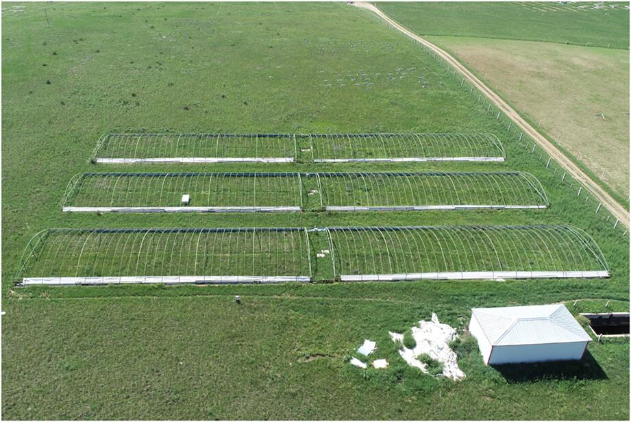 Non-linear response of productivity to precipitation extremes in the Inner Mongolia grassland