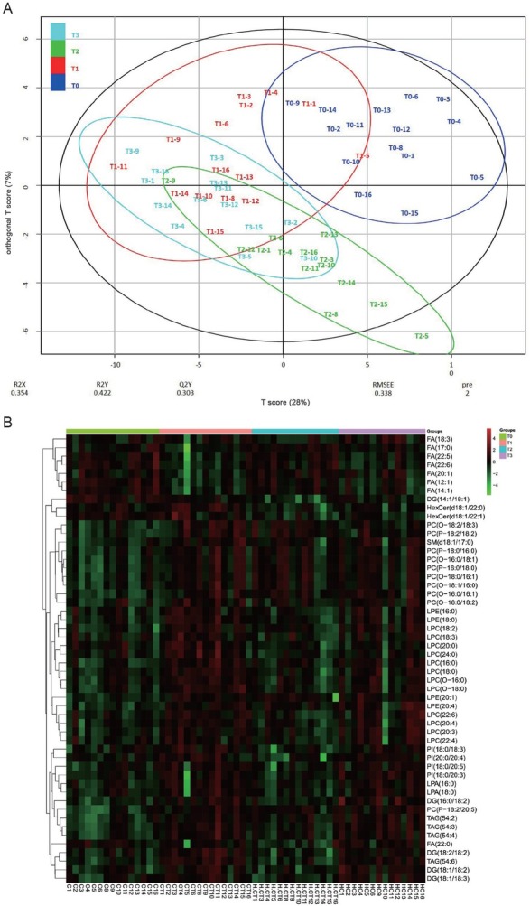 Moderate-intensity continuous training has time-specific effects on the lipid metabolism of adolescents.