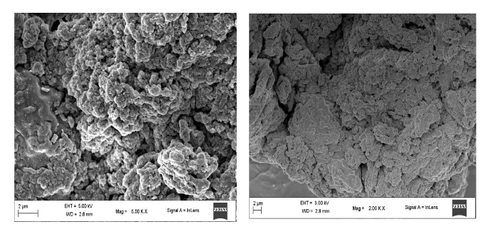 Design and Characterization of Nanoflowers-based Biosensor for Estimation of Bilirubin in Jaundice.