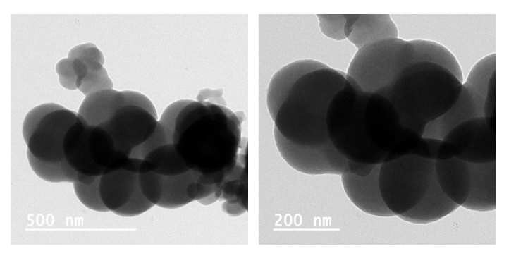 Design and Characterization of Nanoflowers-based Biosensor for Estimation of Bilirubin in Jaundice.