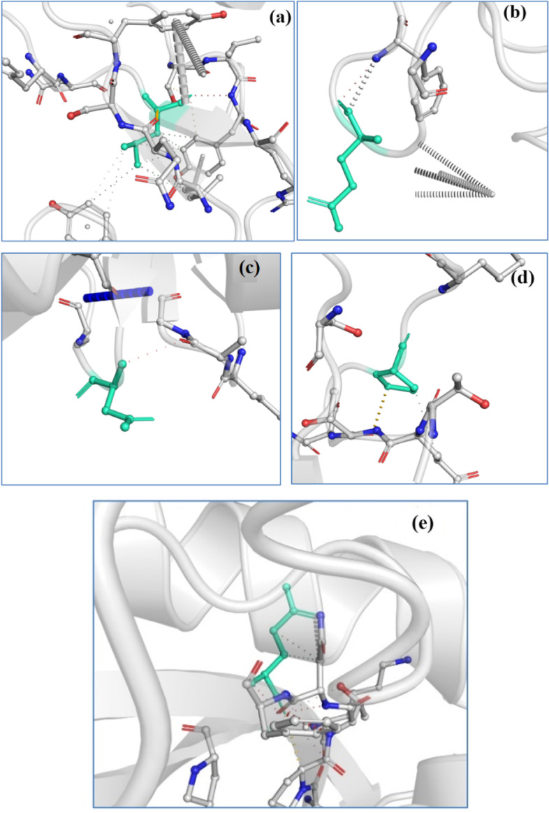 Insights on the interaction of SARS-CoV-2 variant B.1.617.2 with antibody CR3022 and analysis of antibody resistance.