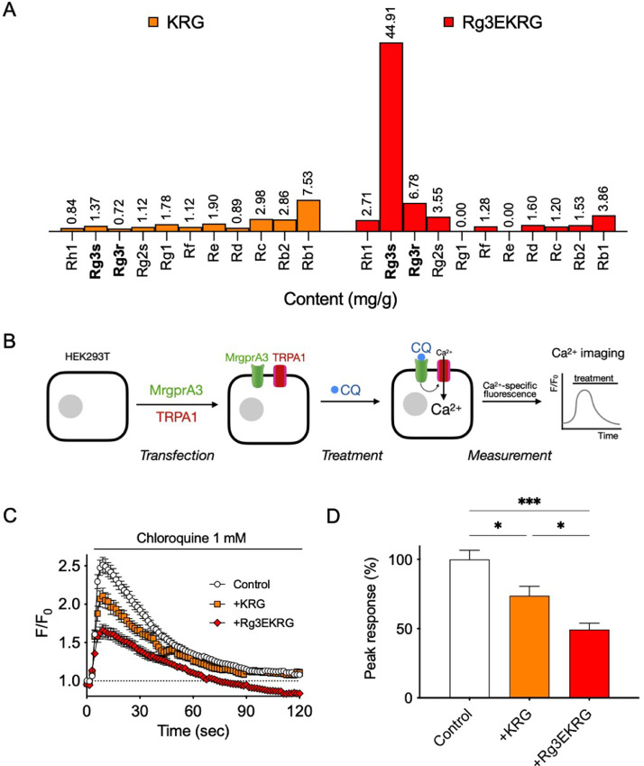 Rg3-enriched Korean red ginseng alleviates chloroquine-induced itch and dry skin pruritus in an MrgprA3-dependent manner in mice