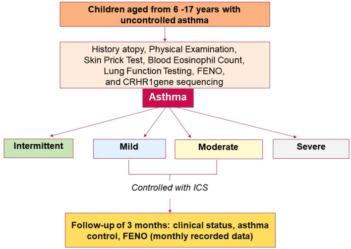 Responsiveness of Inhaled Corticosteroid Treatment in Children with Asthma: The Role of rs242941 Polymorphism of CRHR1 Gene.