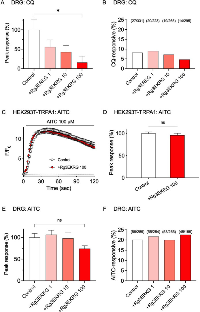 Rg3-enriched Korean red ginseng alleviates chloroquine-induced itch and dry skin pruritus in an MrgprA3-dependent manner in mice