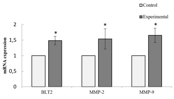 The Role of Leukotriene B<sub>4</sub> in Cow Metritis.