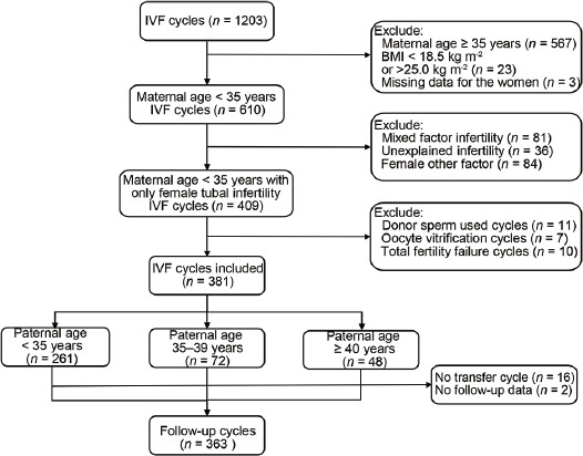 Effect of advanced paternal age on reproductive outcomes in IVF cycles of non-male-factor infertility: a retrospective cohort study.