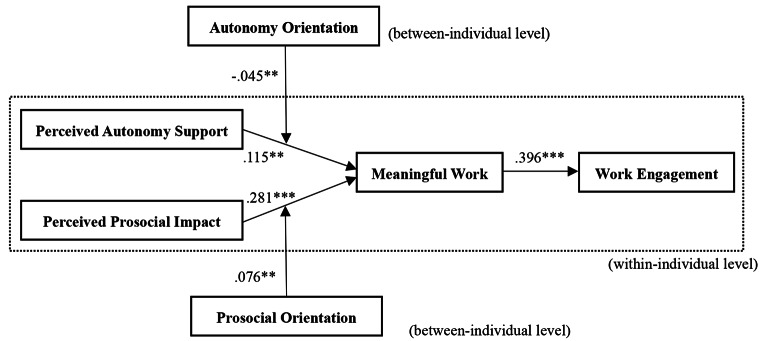 Autonomy support and prosocial impact facilitate meaningful work: A daily diary study.