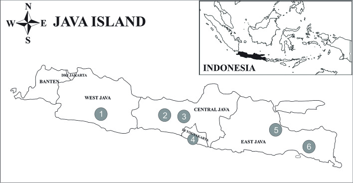 Genetic diversity and relationship among Indonesian local sheep breeds on Java Island based on mitochondrial cytochrome b gene sequences.