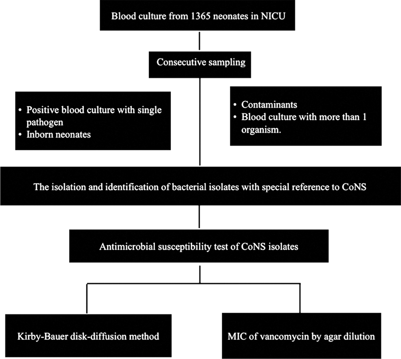 Coagulase-Negative Staphylococci in Neonatal Blood: How Concerning?