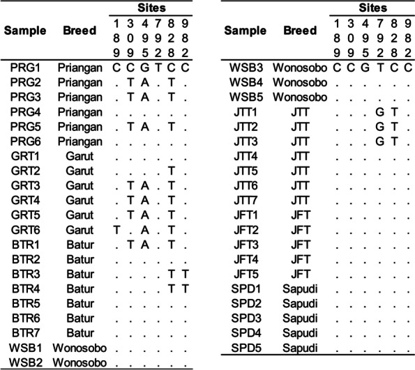 Genetic diversity and relationship among Indonesian local sheep breeds on Java Island based on mitochondrial cytochrome b gene sequences.