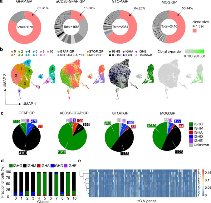 Persistent virus-specific and clonally expanded antibody-secreting cells respond to induced self-antigen in the CNS