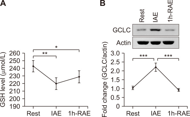 Effects of Exhaustive Exercise on Inflammatory, Apoptotic, and Antioxidative Signaling Pathways in Human Peripheral Blood Mononuclear Cells.