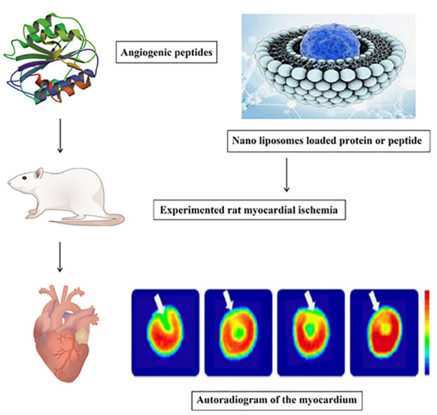 Current and Novel Emerging Medical Therapies for Peripheral Artery Disease: A Literature Review.