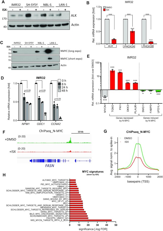 Tumor-suppressive disruption of cancer subtype-associated super enhancer circuits by small molecule treatment.