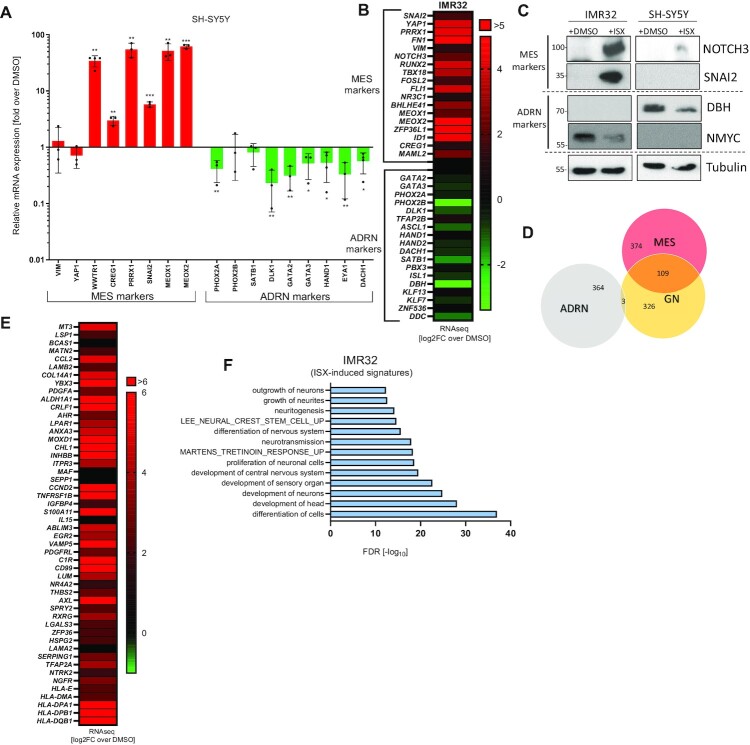 Tumor-suppressive disruption of cancer subtype-associated super enhancer circuits by small molecule treatment.