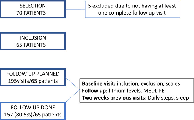 Lithium levels and lifestyle in patients with bipolar disorder: a new tool for self-management.